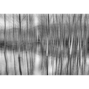 Fototapeta, Tapeta Reflections, (416 x 290 cm)