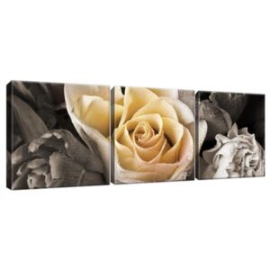 Obraz na plátně Jemná růže 90x30cm 1746A_3A