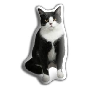 Polštářek s potiskem černobílé kočky Adorable Cushions