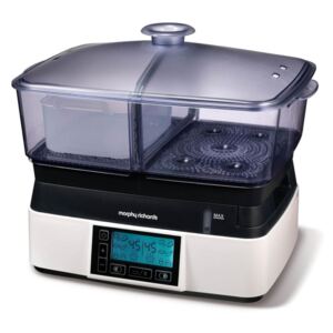 Morphy Richards Intellisteam Compact