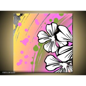 Abstraktní obraz - havajské květy (F005528F3030)