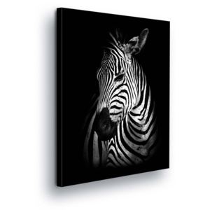 GLIX Obraz na plátně - Černobílá Zebra 80x60 cm