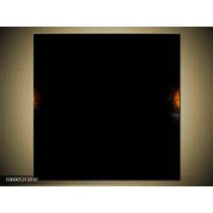 Abstraktní tmavý obraz (F000052F3030)