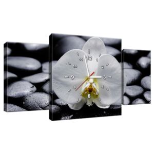 Obraz s hodinami Bílá orchidej 80x40cm ZP1708A_3AX