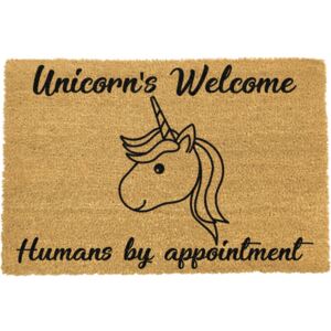 Rohožka Artsy Doormats Unicorns Welcome, 40 x 60 cm