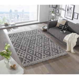 Mint Rugs - Hanse Home koberce Kusový koberec Grace 102595 - 120x170 cm