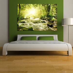 Obraz - letní divoká řeka pátno na podrámku 50 x 50 cm