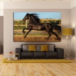 Obraz - fríský kůň pátno na podrámku 60 x 40 cm