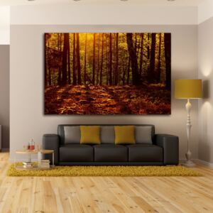 Obraz - podvečerní les pátno na podrámku 50 x 50 cm