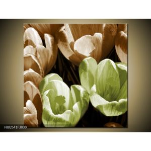 Obraz rozkvětlých tulipánů - zelená hnědá (F002541F3030)