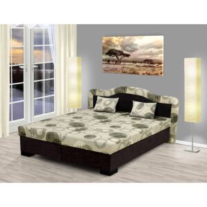 Nabytekmorava Čalouněná postel s úložným prostorem Zuzana 170 Barva: hnědá