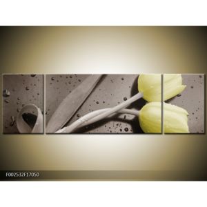 Obraz žlutých tulipánů - šedé pozadi (F002532F17050)