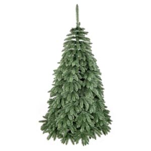 Vánoční stromeček Smrk Gold kanadský 250 cm
