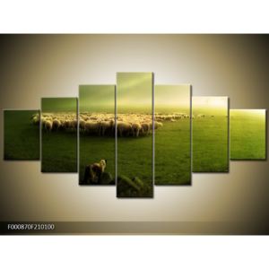 Obraz stáda ovcí (F000870F210100)
