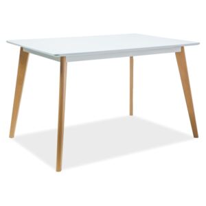 Stůl DECLAN A bílý/buk 120x80, 120 x 80 cm, bílá , buk