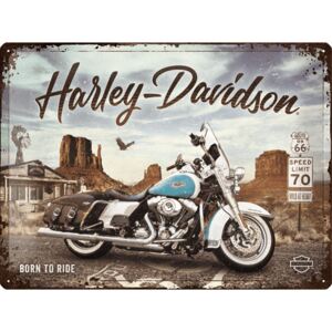 Nostalgic Art Plechová cedule: Harley-Davidson (King of Route 66) - 40x30 cm