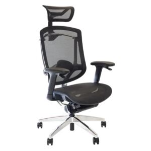 Ergonomická židle Marrit GT07-35X (s opěrkou hlavy), celosíť GT27 černá