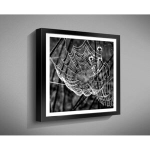 OBRAZ 40x40 BW 1 černobílé RÁMEČEK BW: 1042