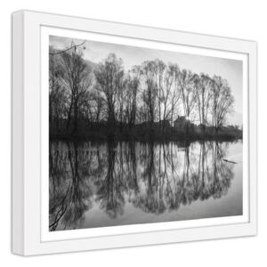 CARO Obraz v rámu - Trees In The Lake 40x30 cm Bílá