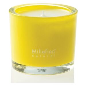 Millefiori Natural Pompelo vonná svíčka 180 g