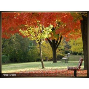 Obraz na plátně Podzimní park, Tvar obrazu a rozměr Obdélník 40x30cm 605 Kč