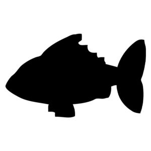Securit Tabule Securit Silhouette BOARD FISH na popis křídou na stěnu + popisovač