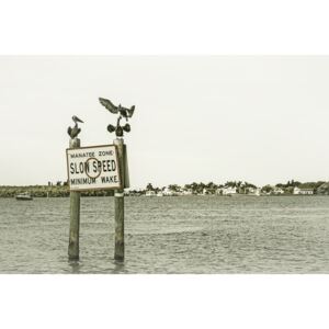 Umělecká fotografie Coastal View from Fort Myers Beach | Vintage, Melanie Viola