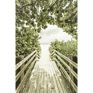 Umělecká fotografie Bridge to the beach with mangroves | Vintage, Melanie Viola