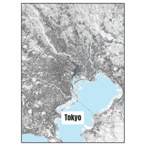 Ilustrace Map of Tokyo, Nico Friedrich