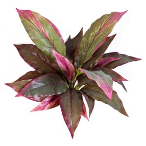 NK Umělá rostlina Cordyline red/green (30cm)