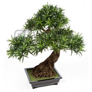 Umělá bonsaj podocarpus 80cm - Akce