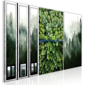 Obraz - Forest (Collection) 120x60