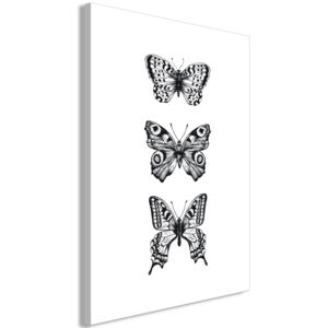 Obraz - Three Butterflies - jednodílný svislý 40x60