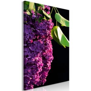 Obraz - Colours of Spring - jednodílný svislý 40x60
