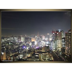 Obraz osvětleného města (F002825F7050)