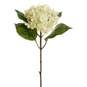 Animadecor Umělá květina - Hortenzie smetanová 40cm