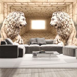 Fototapeta - Mystery of lions + zdarma lepidlo - 100x70