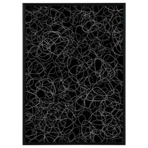Iluze v černé - 50x70cm - 900 Kč Obraz