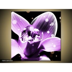 Krásný obraz fialové květiny (F005130F3030)