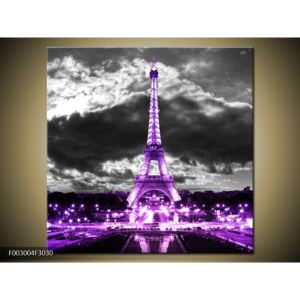 Obraz noční Eiffelovy věže v Paříži (F003004F3030)