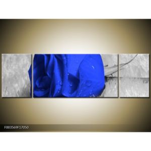 Obraz modré orosené růže (F003569F17050)