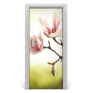 Fototapeta samolepící květy magnolie