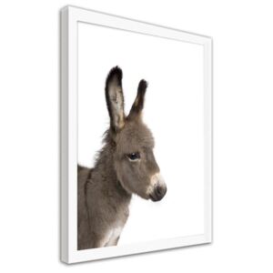 CARO Obraz v rámu - A Donkey 60x80 cm Bílá