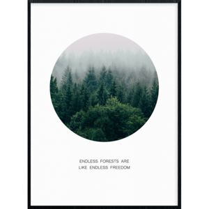 Plakát Endless forest Rozměr plakátu: A4 (21 x 29,7 cm)