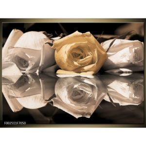 Obraz žluté růže v odrazu (F002511F7050)