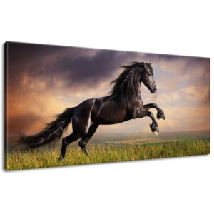 Gario Obraz na plátně Silný černý kůň Rozměry (š x v): 115 x 55 cm