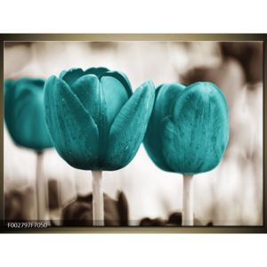 Obraz dvou tyrkysových květin (F002797F7050)
