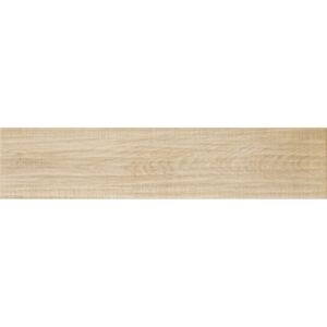 Keramická dlažba imitace dřeva 20×90,5×1cm - PAS03