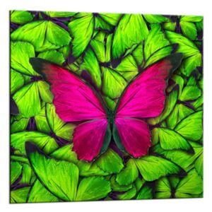 Obraz na skle Styler - Green Butterfly | Rozměry: 20x20 cm