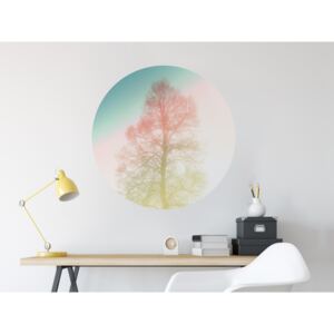 Dekorace na zeď eko kruh - Sleeping tree - rainbow Rozměr: Malý kruh 41 cm